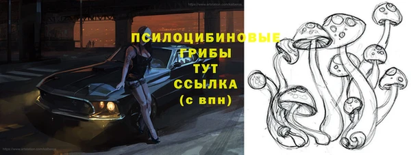 spice Алзамай