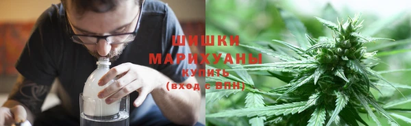 бошки Новозыбков