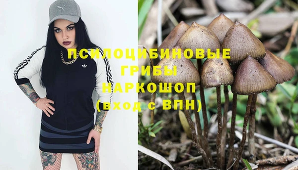 спайс Абдулино