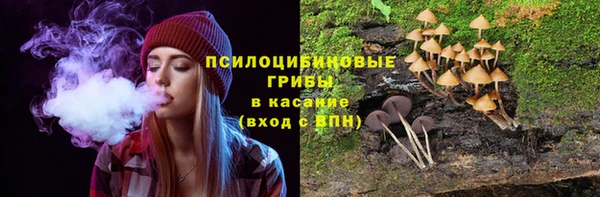 твердый Алексин