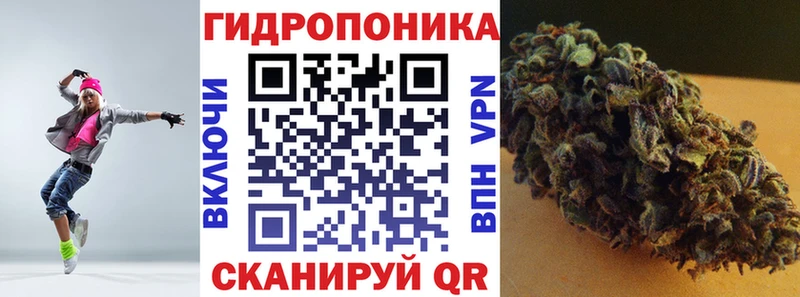 купить наркотики сайты Злынка Каннабис планчик